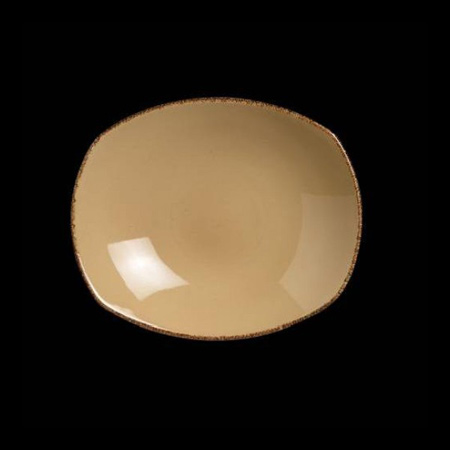 11200587-英國(guó)Steelite 陶瓷西餐調(diào)味盤(pán)